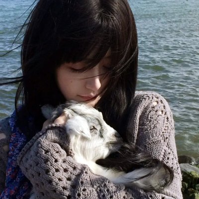爱的猎犬